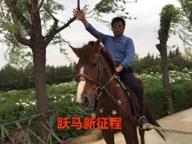 人间自有我风光