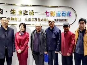 十六载“湘江淬炼”终“荣归故里”:贵州地质专家团莅临青岩古镇“生命之花展览馆”考察指导