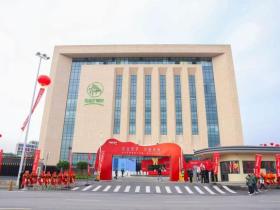 琴叶总部健康产业园盛大开业 5D系列新品全球首发启幕产业新篇