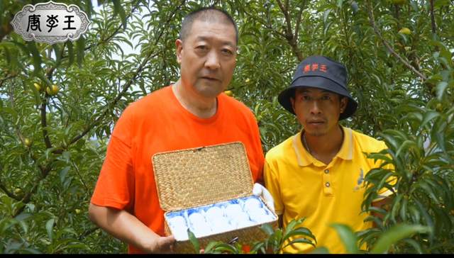 唐李王·首届蜂糖李拍卖会贵阳落槌 一枚李子拍出蜂糖李价值新高度