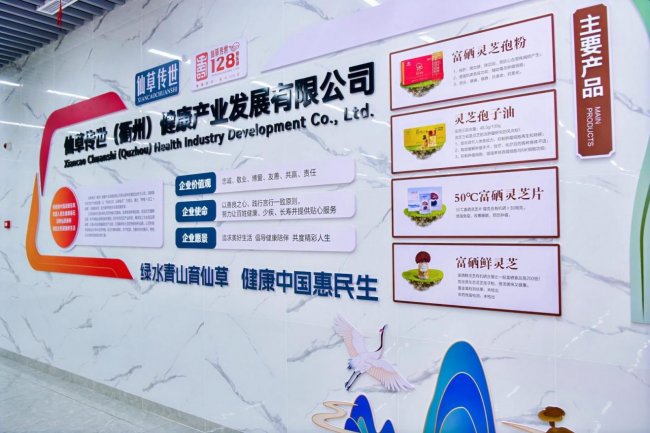 仙草落衢州 本草启新程 仙草传世落子衢州 全产业链布局助推灵芝产业高质量发展