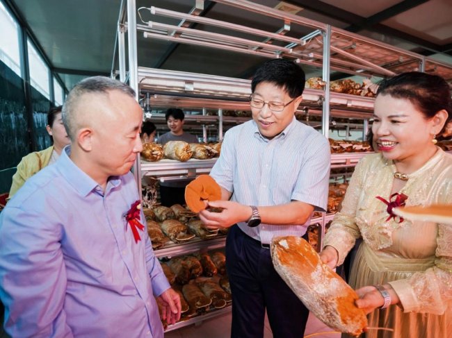 仙草落衢州 本草启新程 仙草传世落子衢州 全产业链布局助推灵芝产业高质量发展