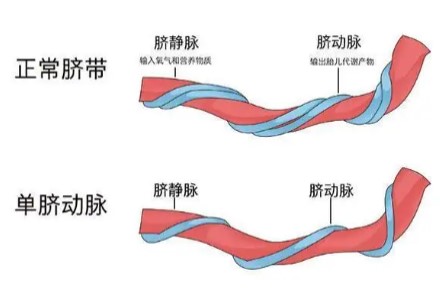 传承千年傣医智慧,榕晟堂创新古方赋能大众健康