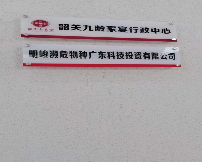 非遗美食邂逅盛唐风度 乐昌竹筒粽拟入驻曲江九龄粮仓文创园