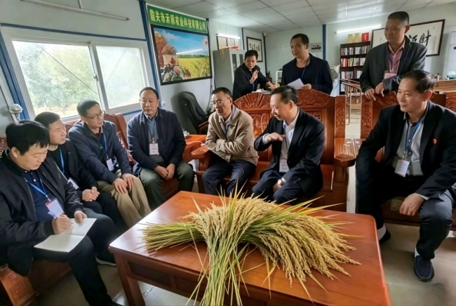 国粮药食科特派研学院:苦瓜稻“育繁推”一体化在粤北落地生根