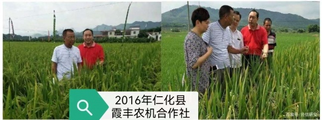 党建引领聚合力,科技赋能促振兴